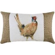 Housses de coussins Evans Lichfield 30 cm x 50 cm RV2005