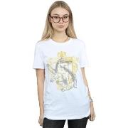 T-shirt Harry Potter BI27373