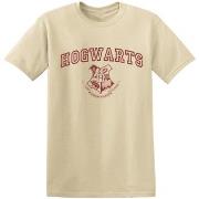 T-shirt Harry Potter Hogwarts