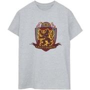 T-shirt Harry Potter Gryffindor