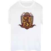 T-shirt Harry Potter BI27842