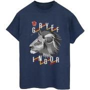 T-shirt Harry Potter Gryffindor