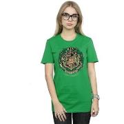 T-shirt Harry Potter BI26524