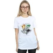 T-shirt Harry Potter Hogwarts