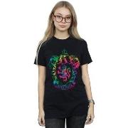 T-shirt Harry Potter BI27224