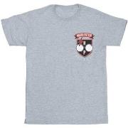 T-shirt Harry Potter BI27594
