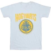 T-shirt Harry Potter Hogwarts Circle Crest