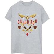 T-shirt Harry Potter Quidditch Golden Snitch