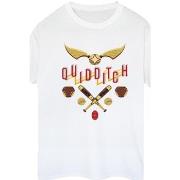 T-shirt Harry Potter Quidditch Golden Snitch