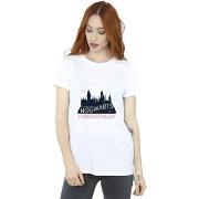 T-shirt Harry Potter BI27987