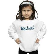 Sweat-shirt enfant Dc Comics BI6612