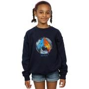 Sweat-shirt enfant Dc Comics BI6684