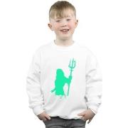 Sweat-shirt enfant Dc Comics BI6021