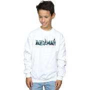 Sweat-shirt enfant Dc Comics BI6269