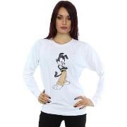 Sweat-shirt Animaniacs BI5983