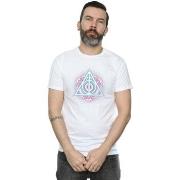 T-shirt Harry Potter Deathly Hallows