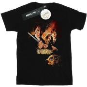 T-shirt Harry Potter Chamber Of Secrets