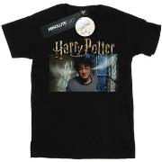 T-shirt Harry Potter Steam Ears