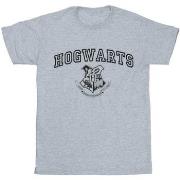 T-shirt Harry Potter BI30384