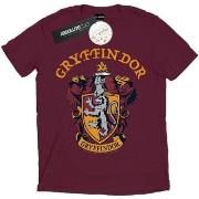 T-shirt Harry Potter BI30464