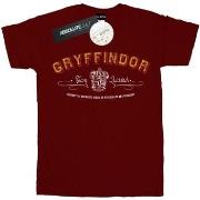 T-shirt Harry Potter Gryffindor Quidditch