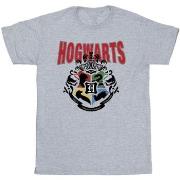 T-shirt Harry Potter BI30718