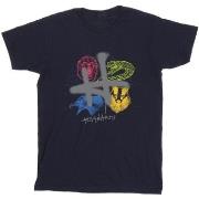 T-shirt Harry Potter BI30781