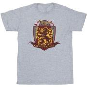 T-shirt Harry Potter Gryffindor