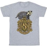 T-shirt Harry Potter BI31049