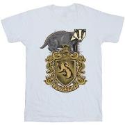 T-shirt Harry Potter BI31049