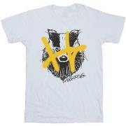 T-shirt Harry Potter Hufflepuff Pop Spray