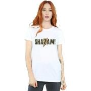 T-shirt Dc Comics Shazam Text Logo