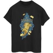 T-shirt Dc Comics Fury Of The Gods