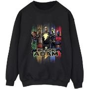 Sweat-shirt Dc Comics JSA