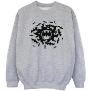 Sweat-shirt enfant Dc Comics BI8357