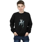 Sweat-shirt enfant Dc Comics Batman Alex Ross Catwoman