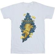 T-shirt Dc Comics Fury Of The Gods