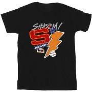 T-shirt Dc Comics Fury Of The Gods