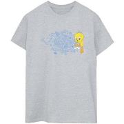 T-shirt Dessins Animés ACME