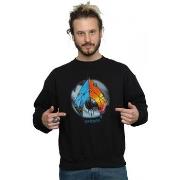 Sweat-shirt Dc Comics BI9266