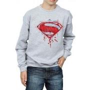 Sweat-shirt enfant Dc Comics BI9740