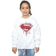 Sweat-shirt enfant Dc Comics BI9944