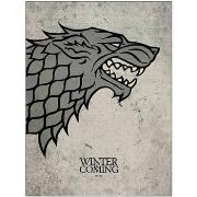 Affiches, posters Game Of Thrones NS5970