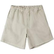 Short Obey Shorts Easy Denim Carpenter Homme Silver Grey