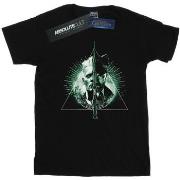 T-shirt Fantastic Beasts BI24762