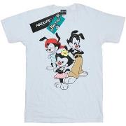 T-shirt Animaniacs BI9355