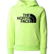 Chemise enfant The North Face B DREW PEAK P/O HOODIE