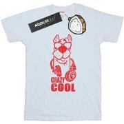 T-shirt Scooby Doo Crazy Cool