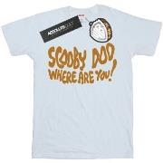 T-shirt Scooby Doo Where Are You