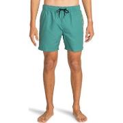 Maillots de bain Billabong All Day Heritage Layback 16"